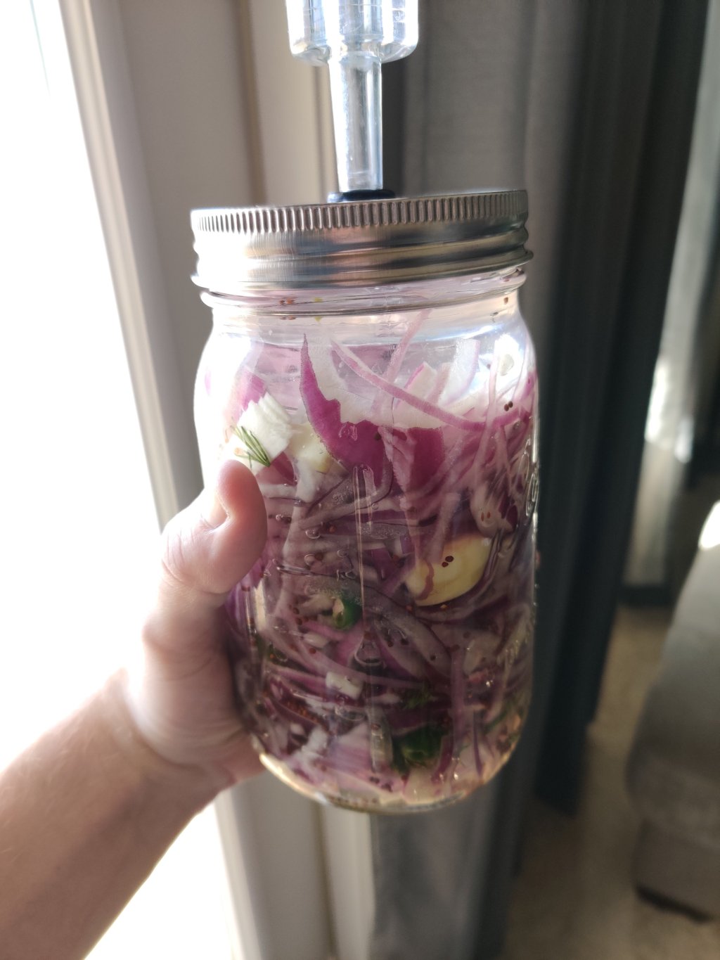Lacto-Fermented Red Onions
