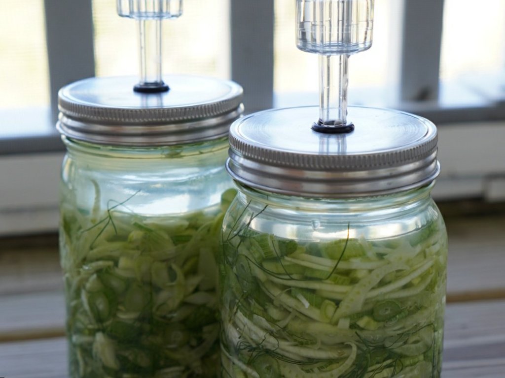 Lacto-Fermented Fennel