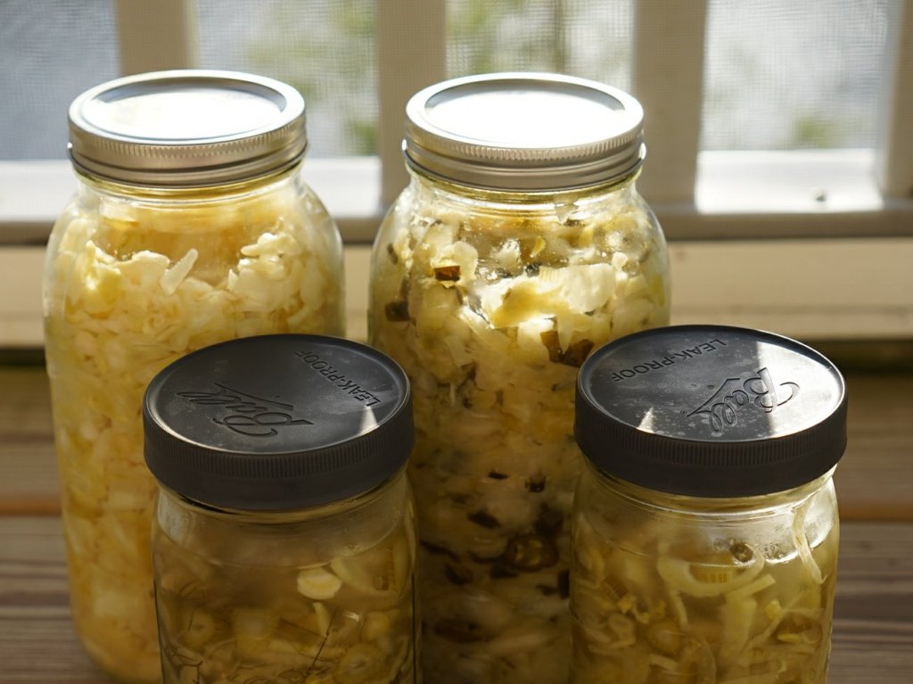 End-of-Season Kraut and Lacto-fermented Fennel&nbsp;(Finished)
