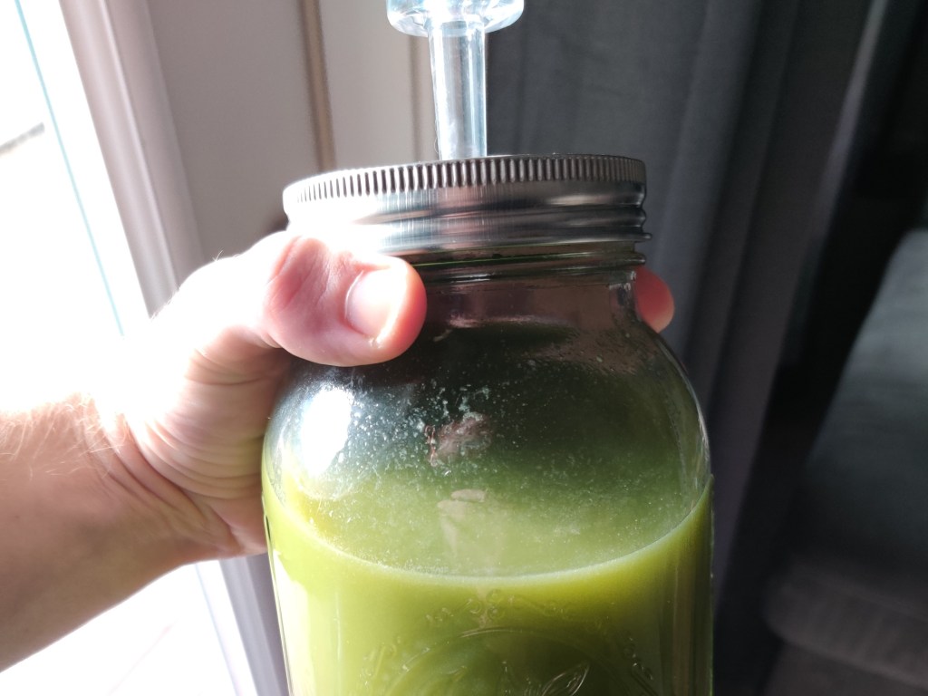 Bittermelon Wine &&nbsp;Vinegar