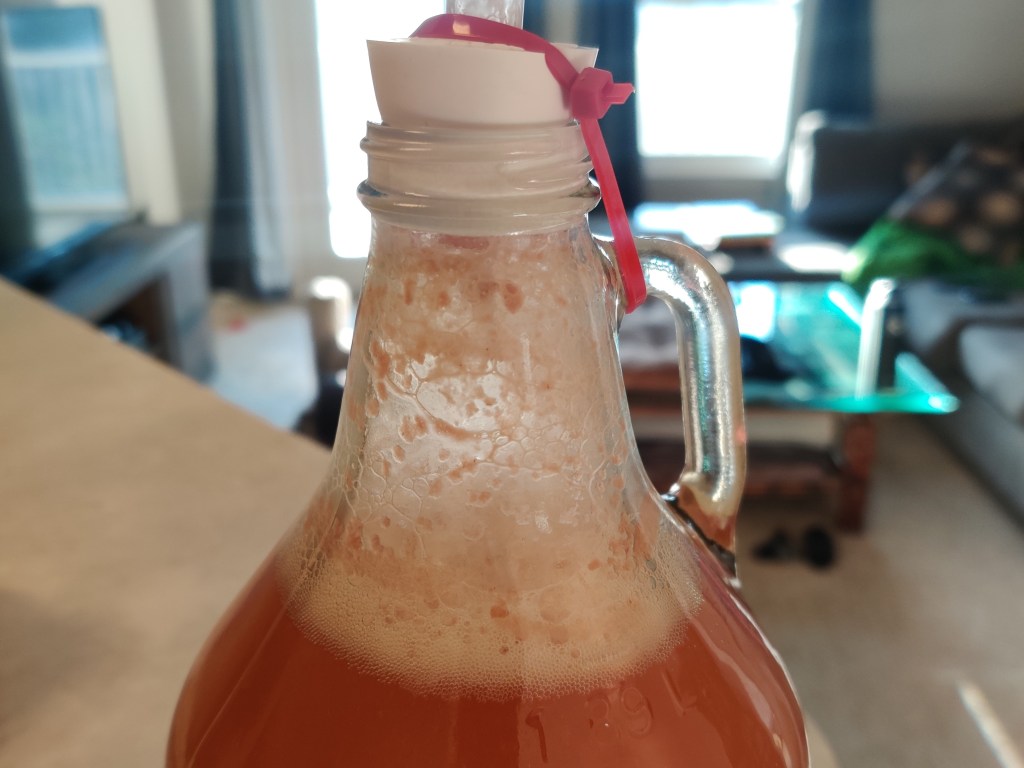Strawberry Bittermelon Wine